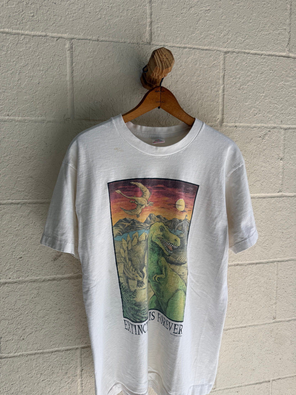 ‘90s Dinosaur Extinction Tee