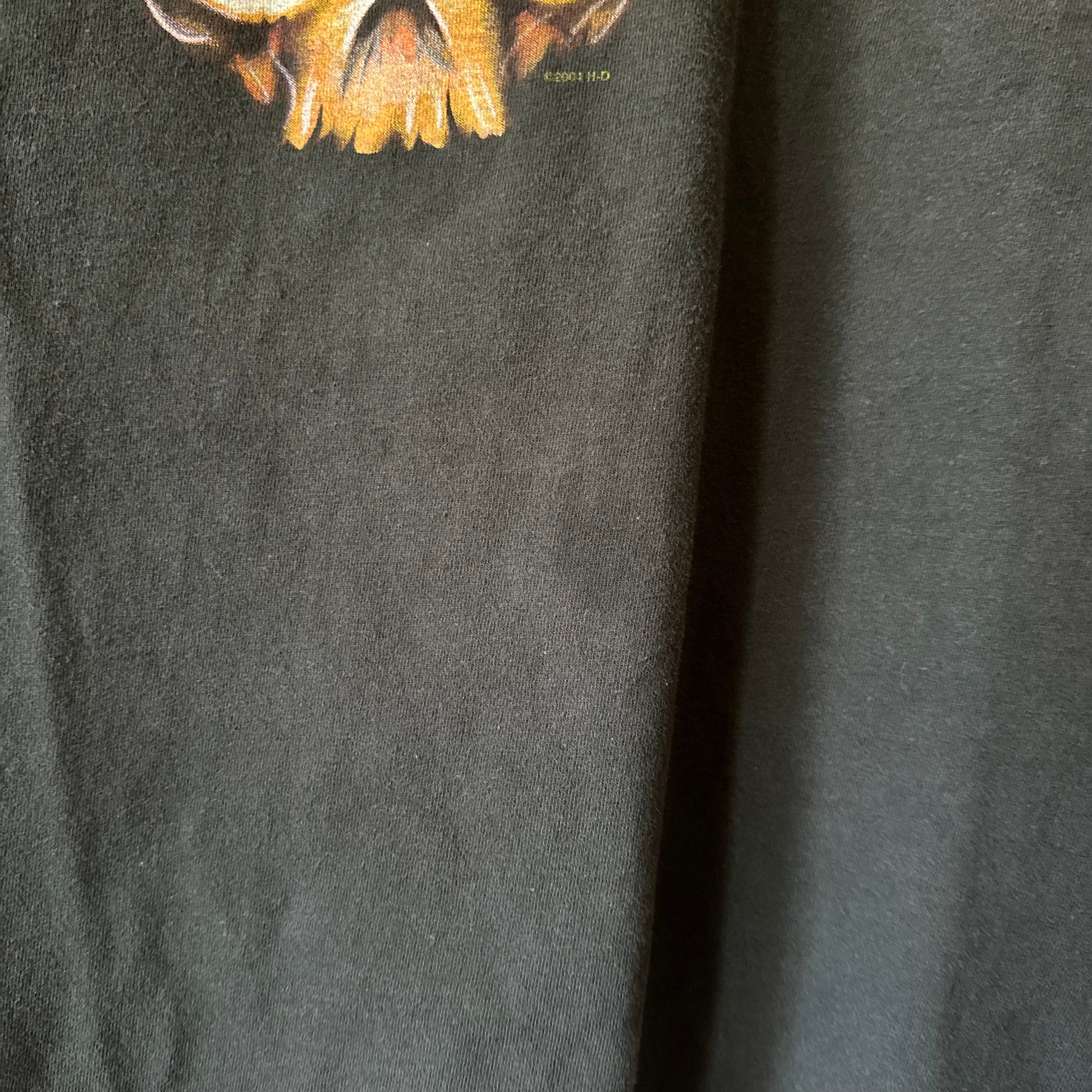 1998/2004 Skull Flame Head Harley Tee