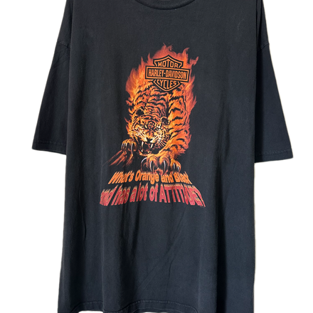 '00s Flame Tiger Harley