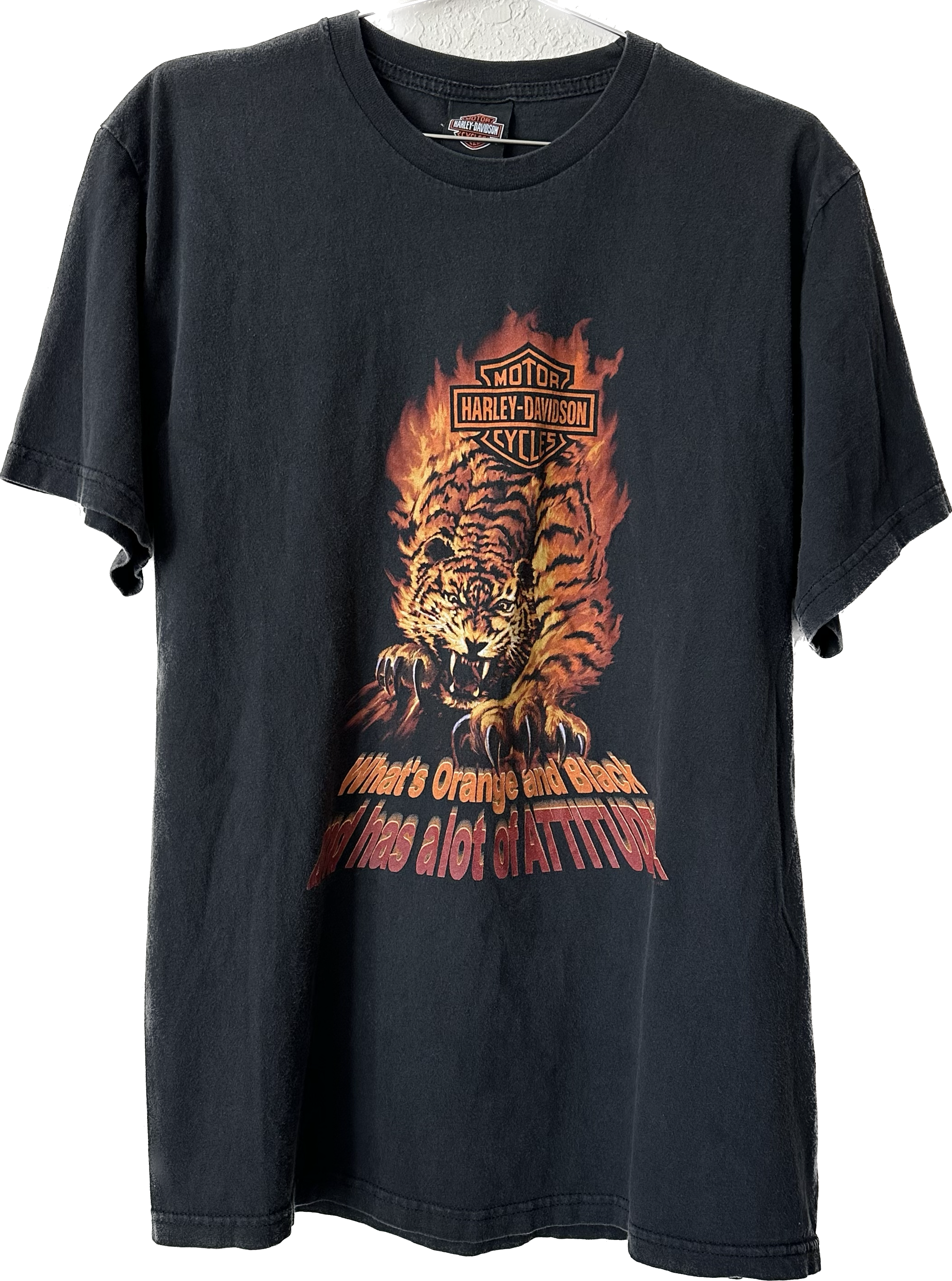 '90s/'00s Flame Tiger Harley Tee