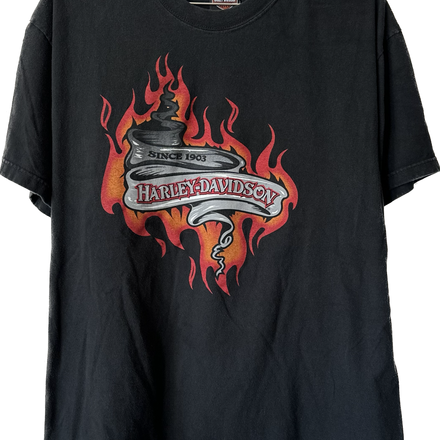 '90s/'00s Flame Cloth Harley Tee