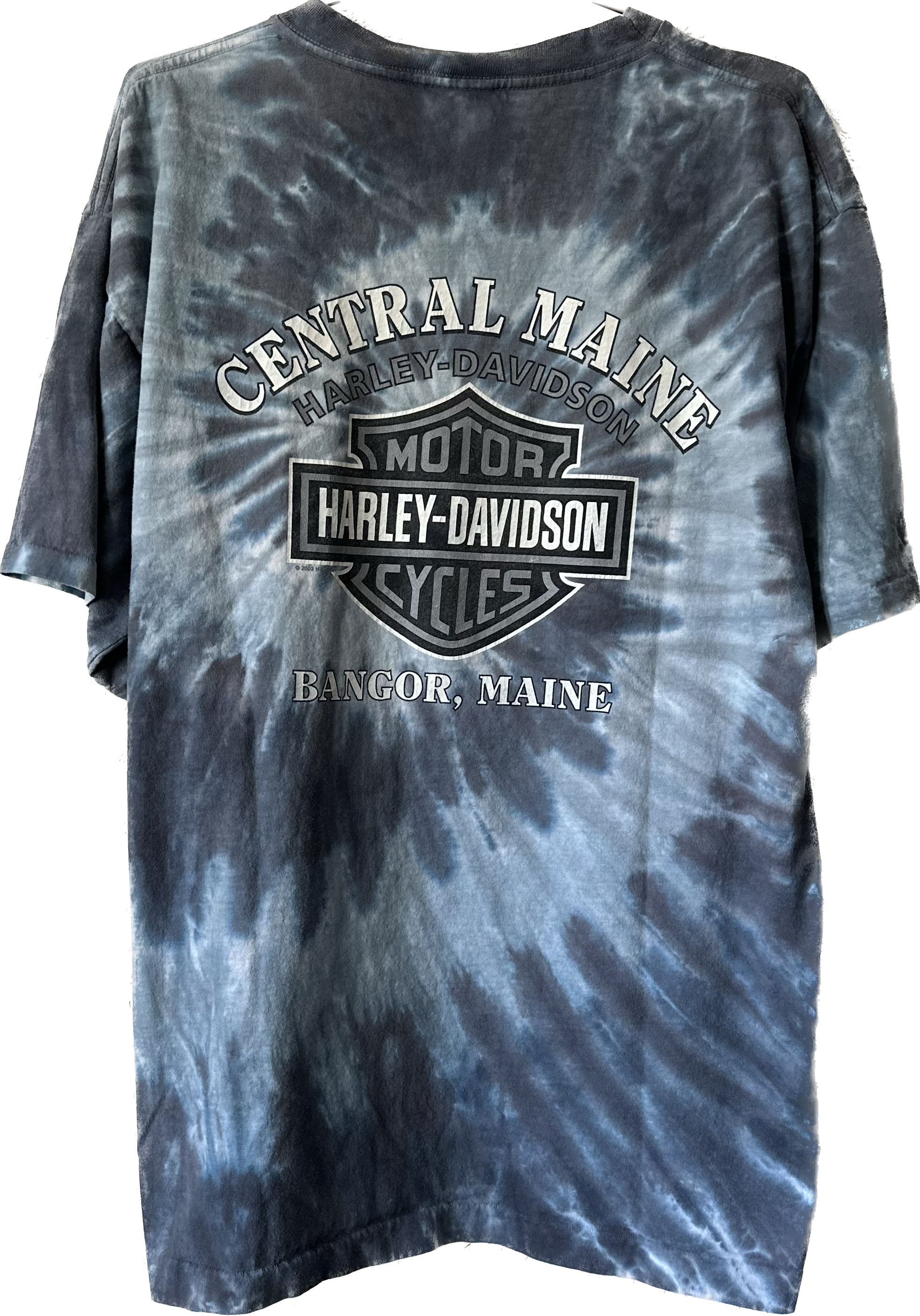 '90s Through The Years Tie Dye Harley Tee