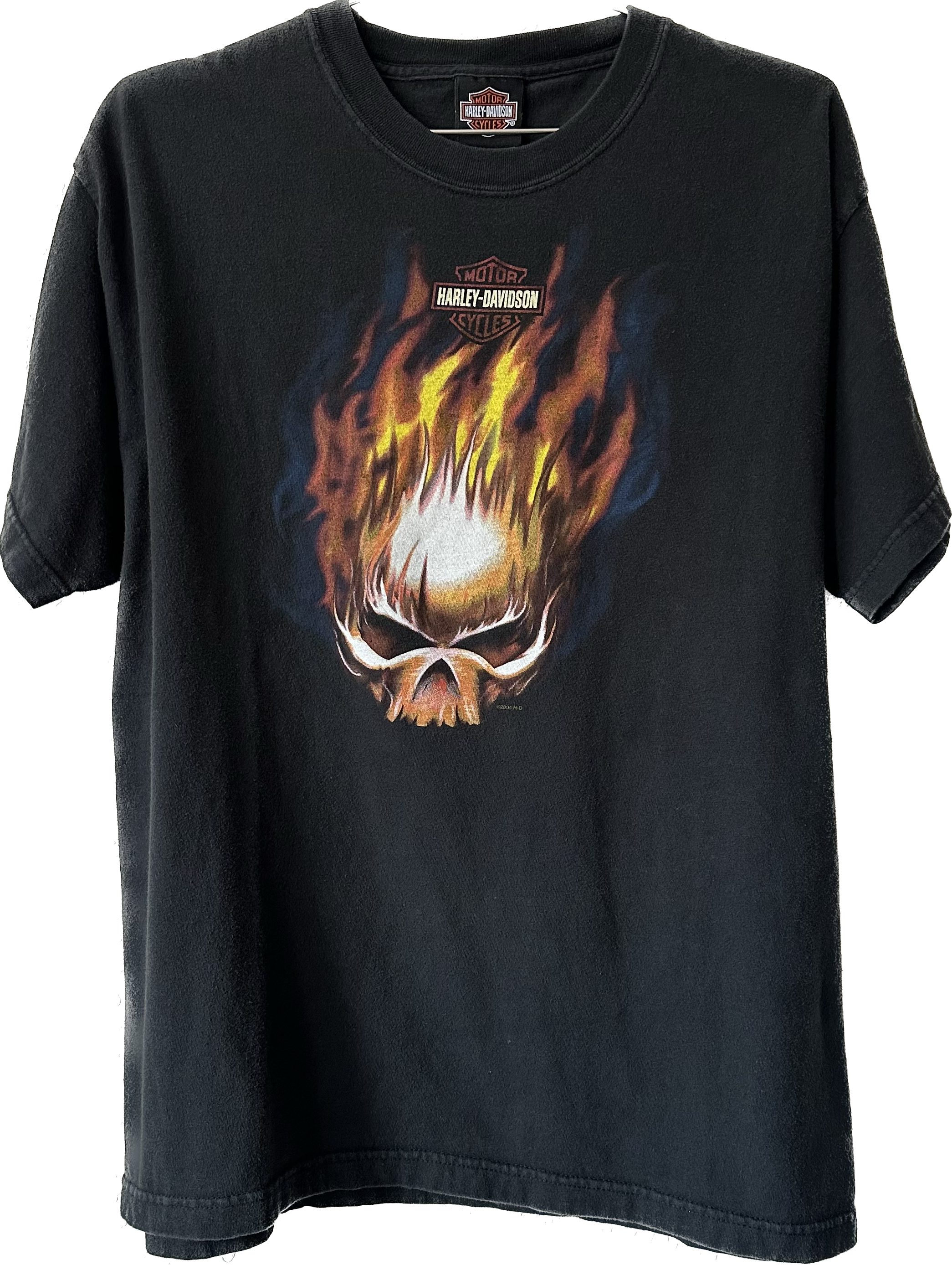 2004 Skull Flame Head Harley Tee