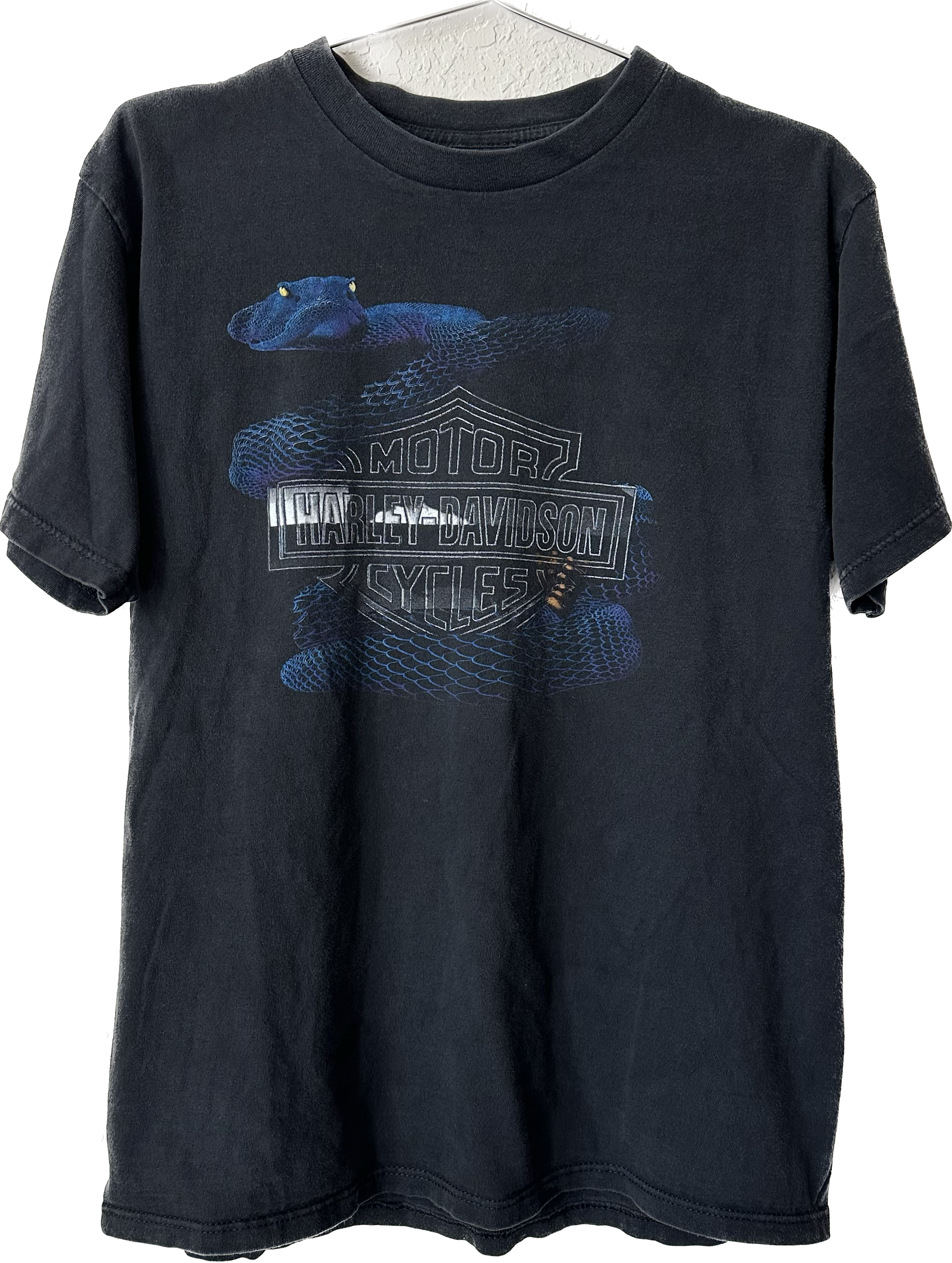 '90s/'00s Blue Snake Harley Tee