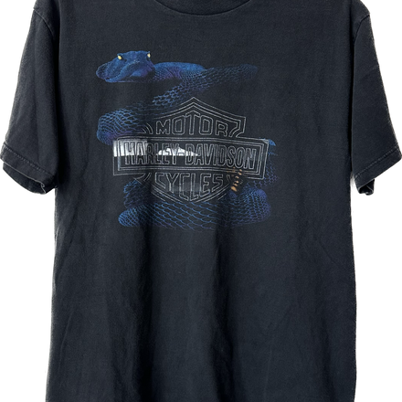 '90s/'00s Blue Snake Harley Tee