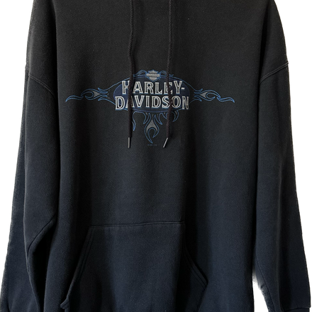 2000/2001 Blue Flame Harley Hoodie