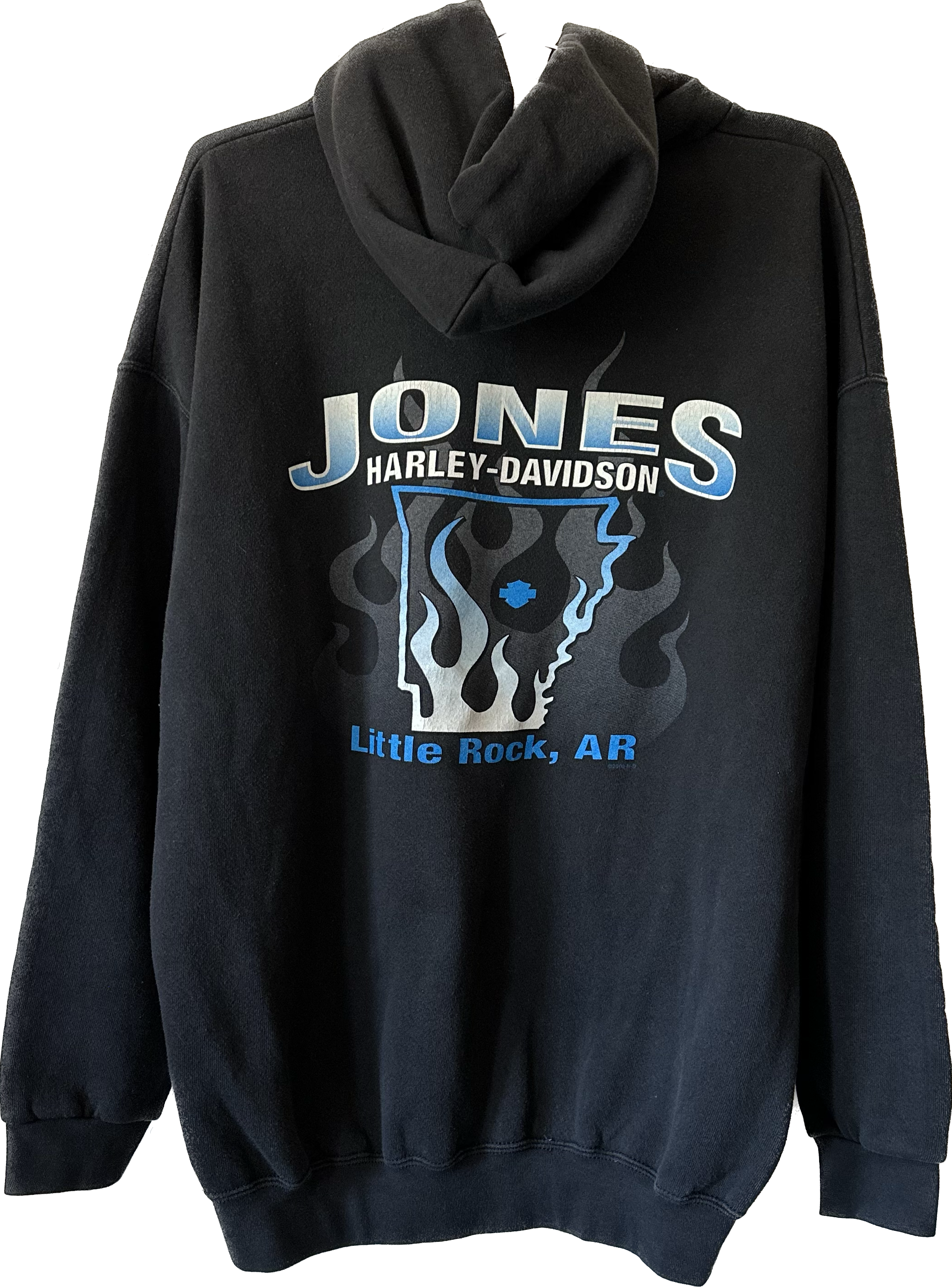 2000/2001 Blue Flame Harley Hoodie